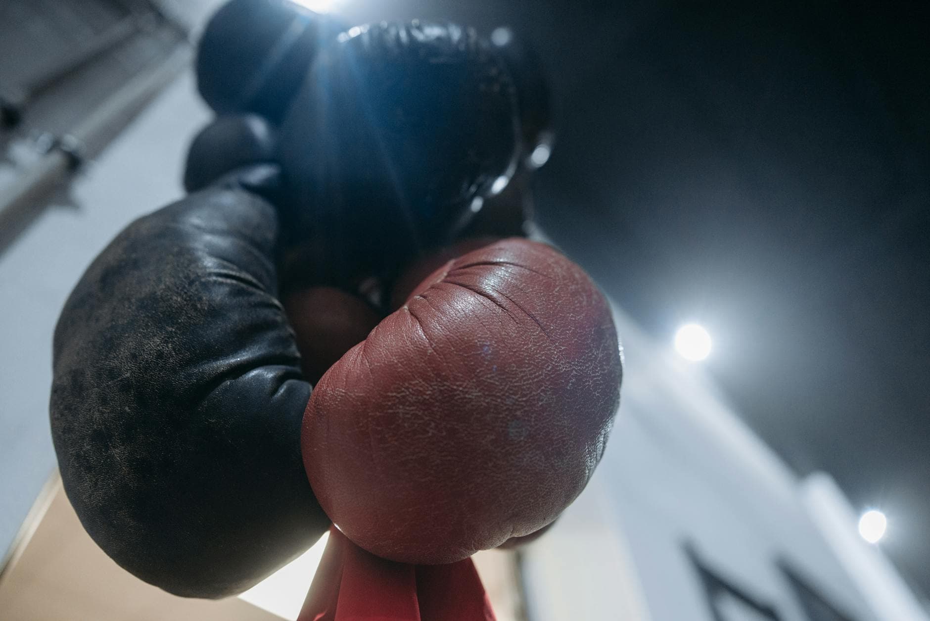 Close-up of red and black boxing gloves hanging in a gym, low angle view.