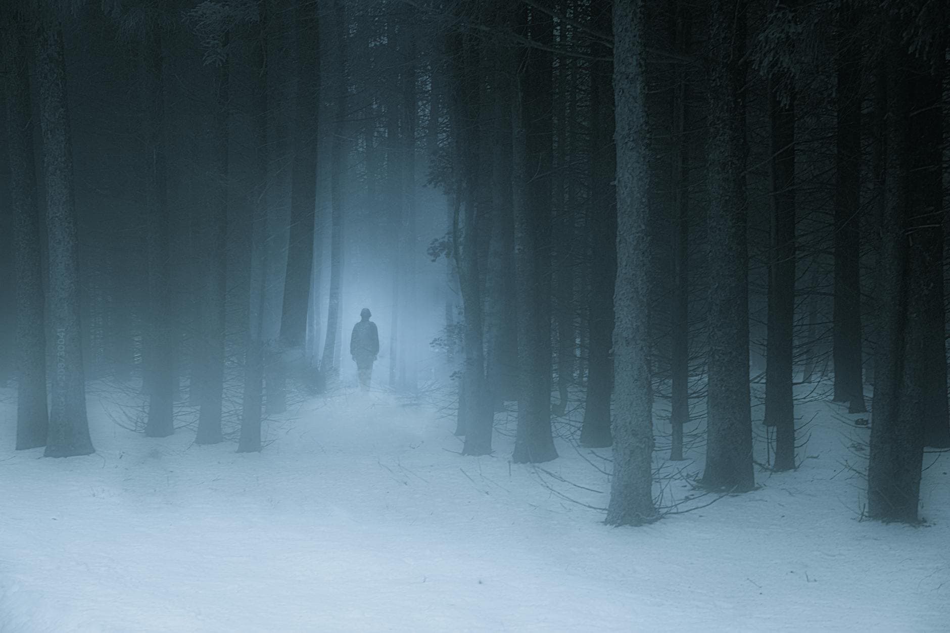 Mysterious figure walking through a snowy, foggy forest landscape in winter.