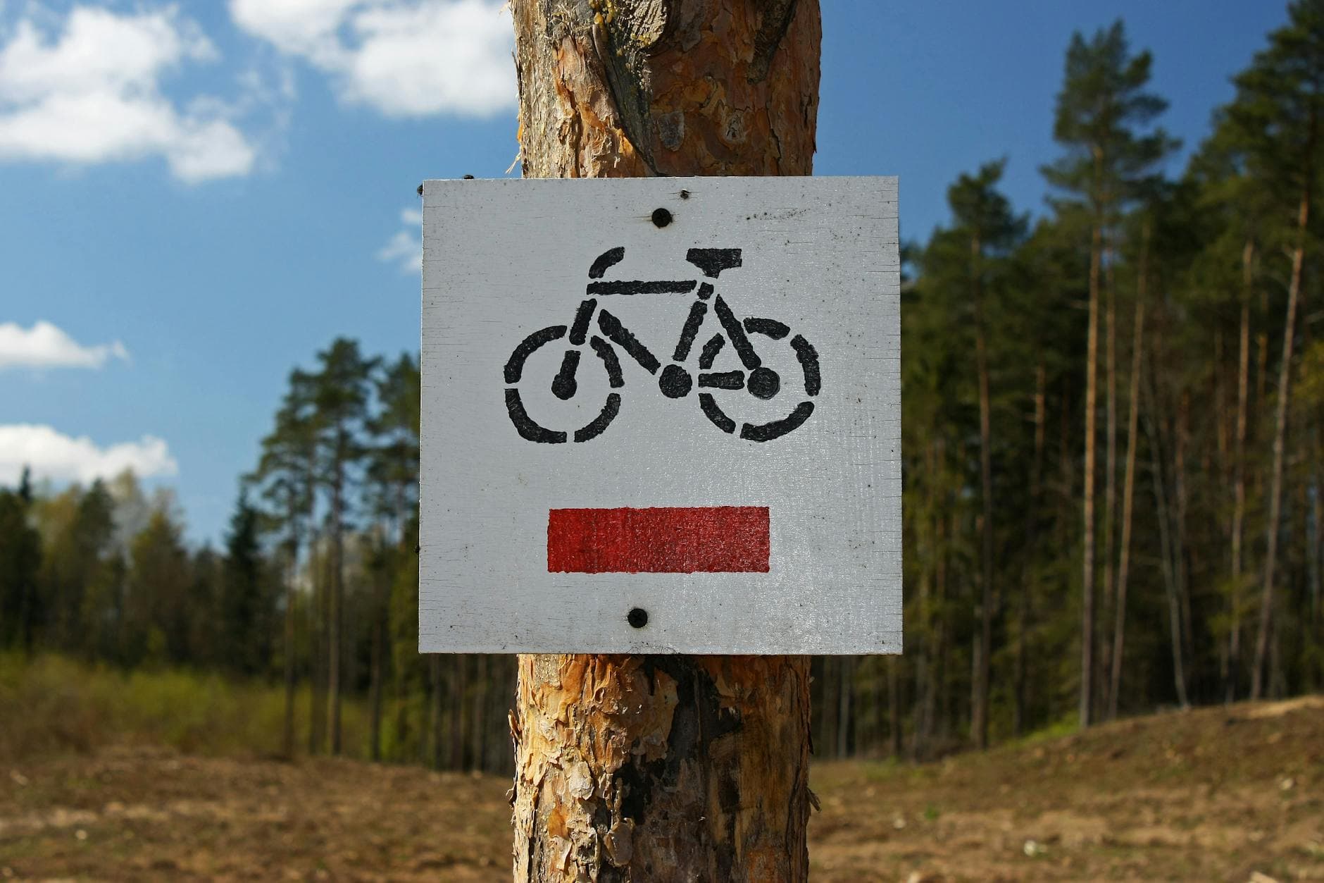 Bicycle trail marker on a tree in a scenic forest in Poland.