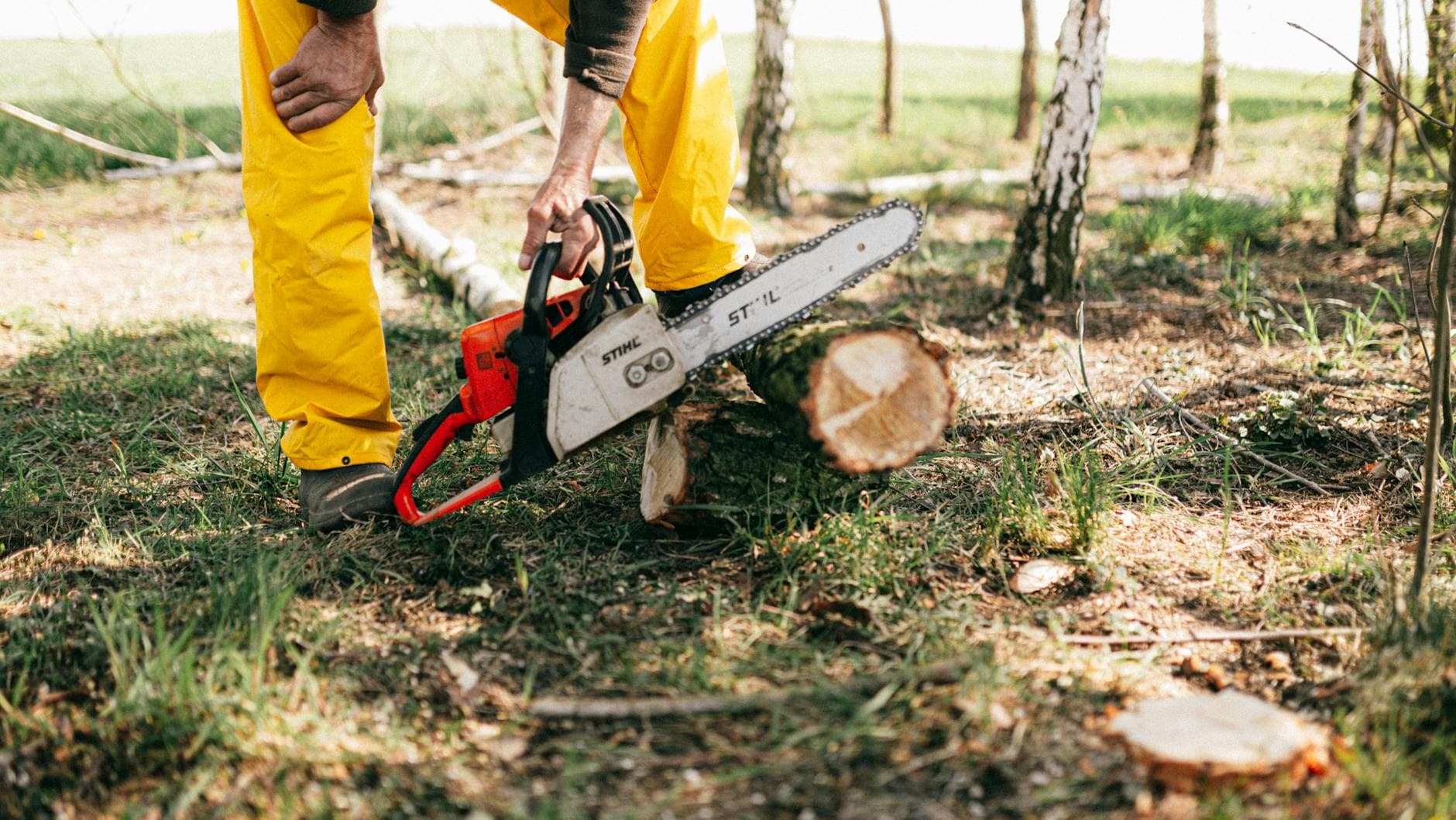 Lumberjack in yellow gear using a chainsaw to cut a tree log in a sunny forest setting.