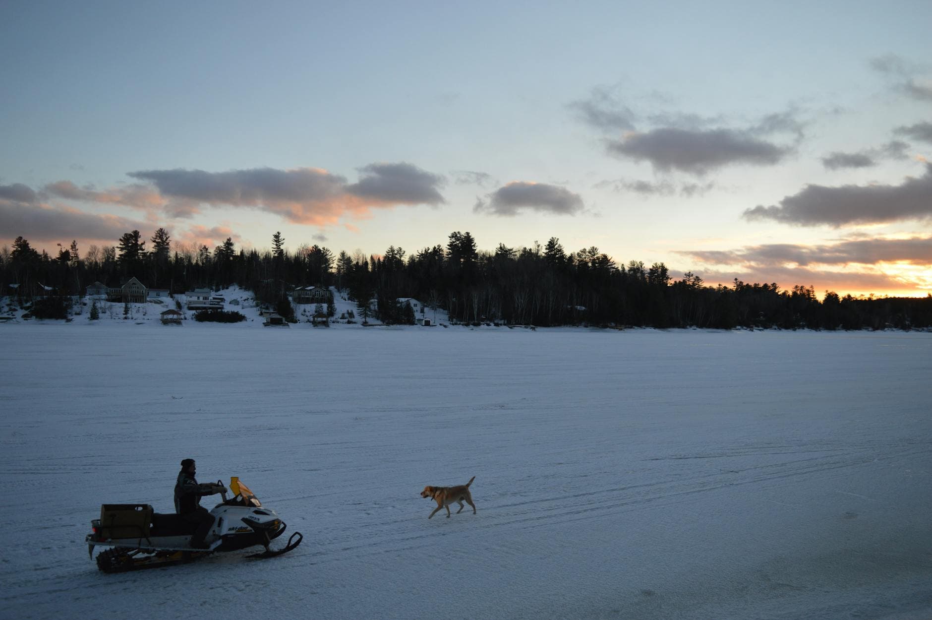 A snowmobile and running dog traverse a frozen lake during a winter sunset, creating a scenic outdoor adventure.