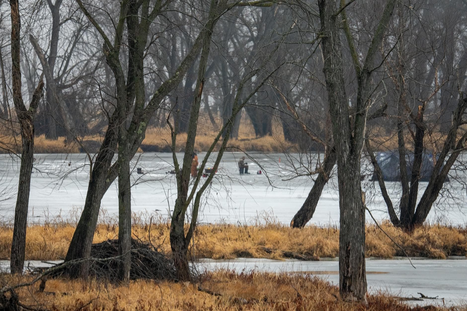 Ice fishing on a frozen lake surrounded by winter trees in Nelson, Wisconsin.