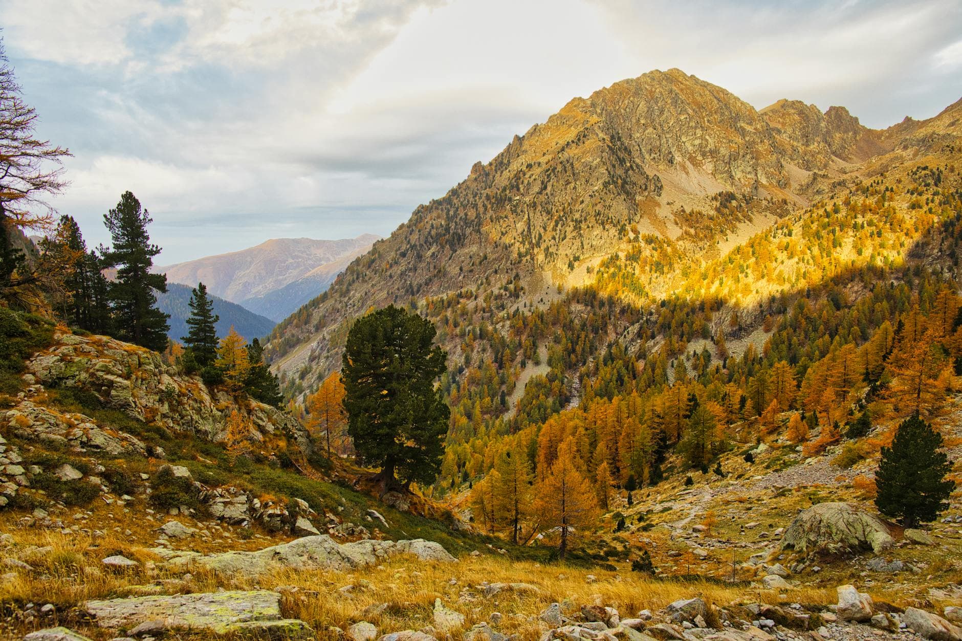 Vibrant autumn scene in Saint-Martin-Vésubie, Provence-Alpes-Côte d'Azur, France.