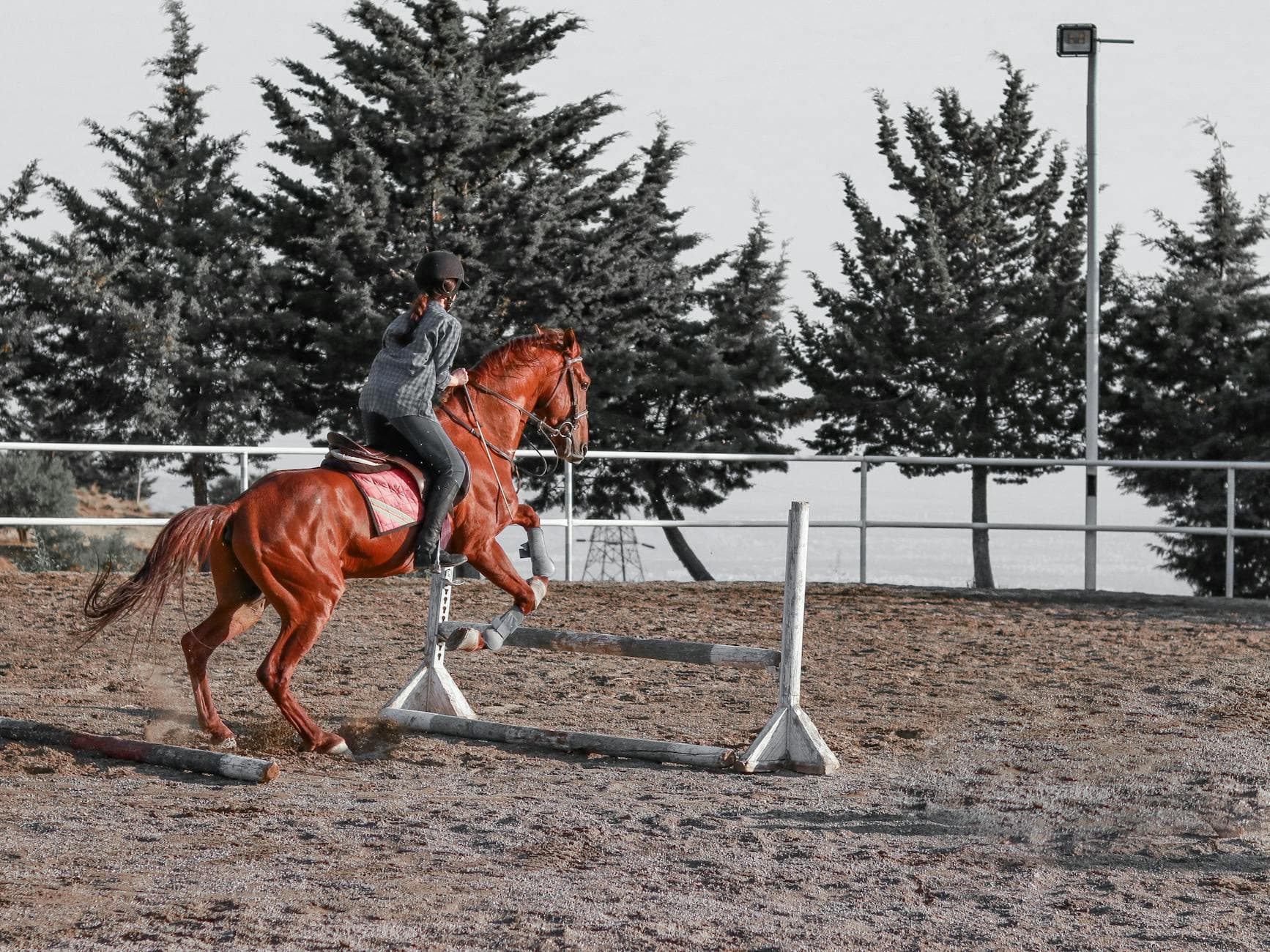 A person skillfully jumps a fence on a chestnut horse outdoors during the day.