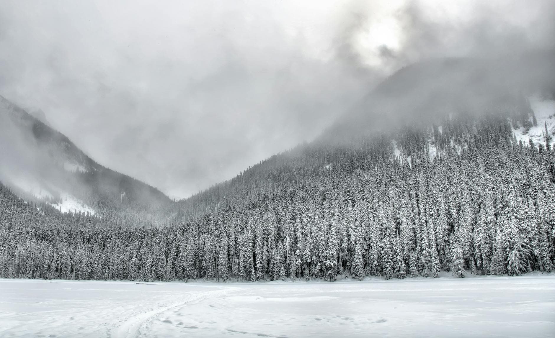 Serene winter landscape with snow, fog, and a dense forest in distant mountains.