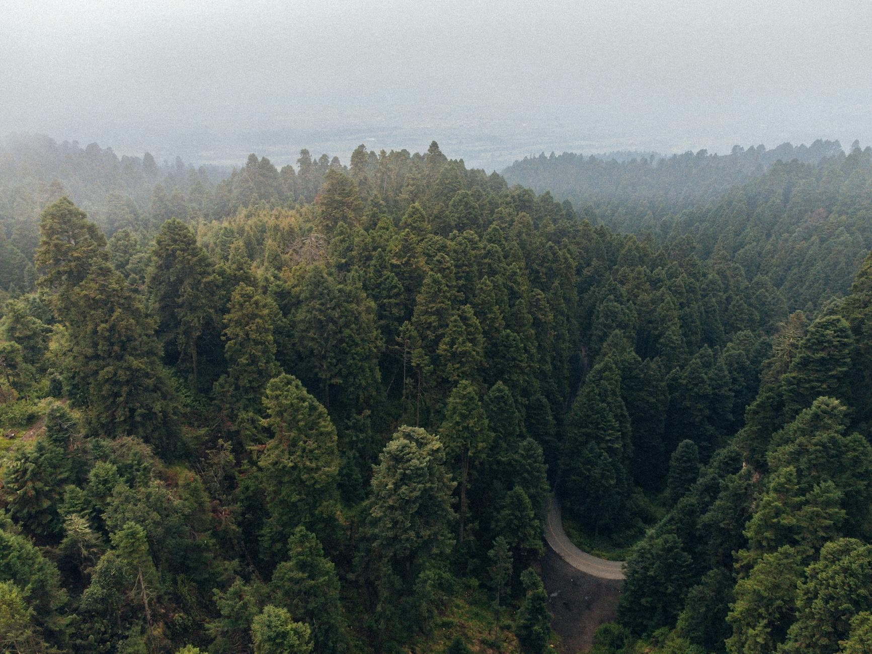 Aerial view of lush, foggy forest landscape in Amecameca de Juárez, Mexico featuring dense green trees.