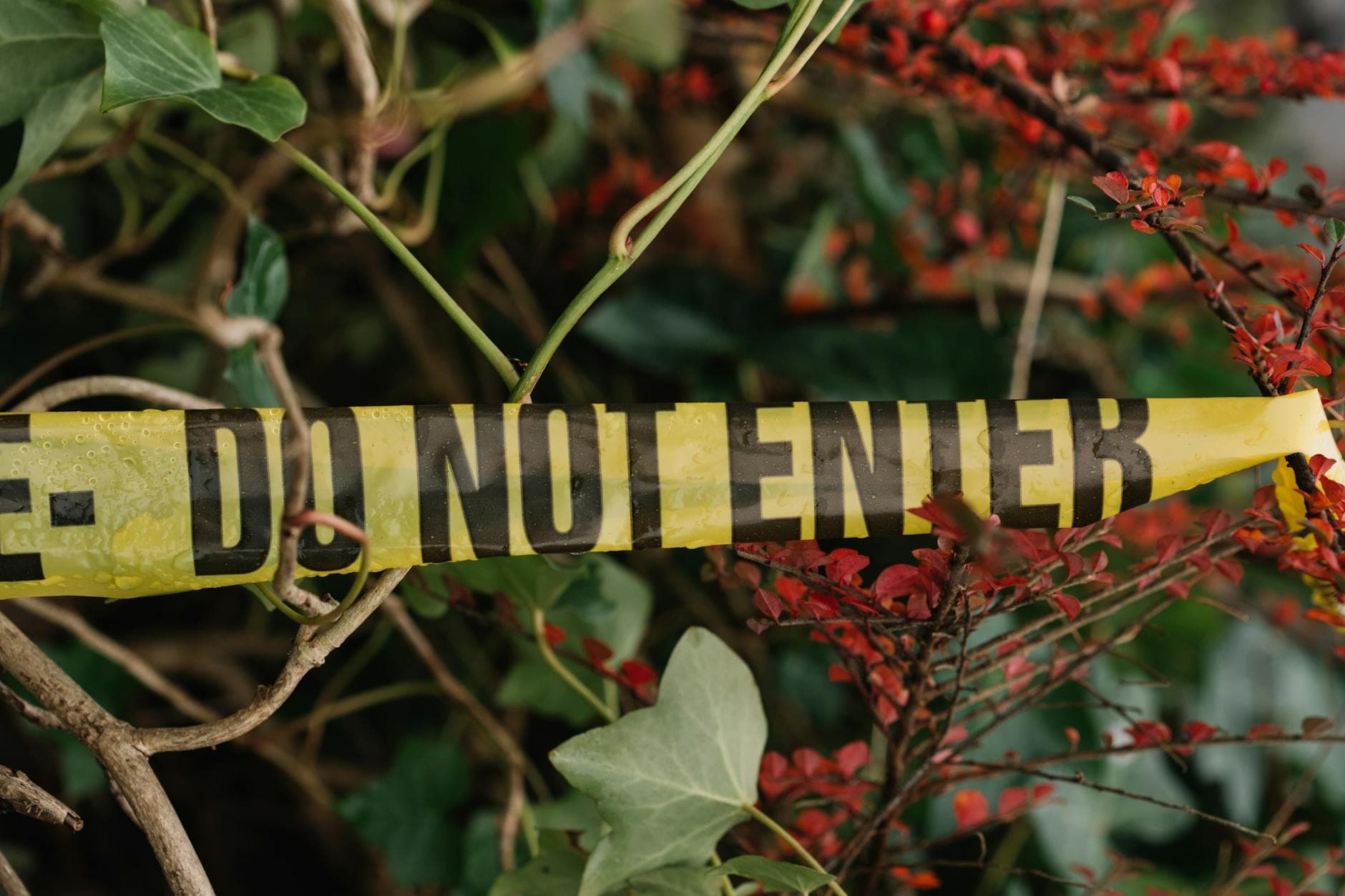 Yellow caution tape stretches across vibrant foliage in an outdoor setting.