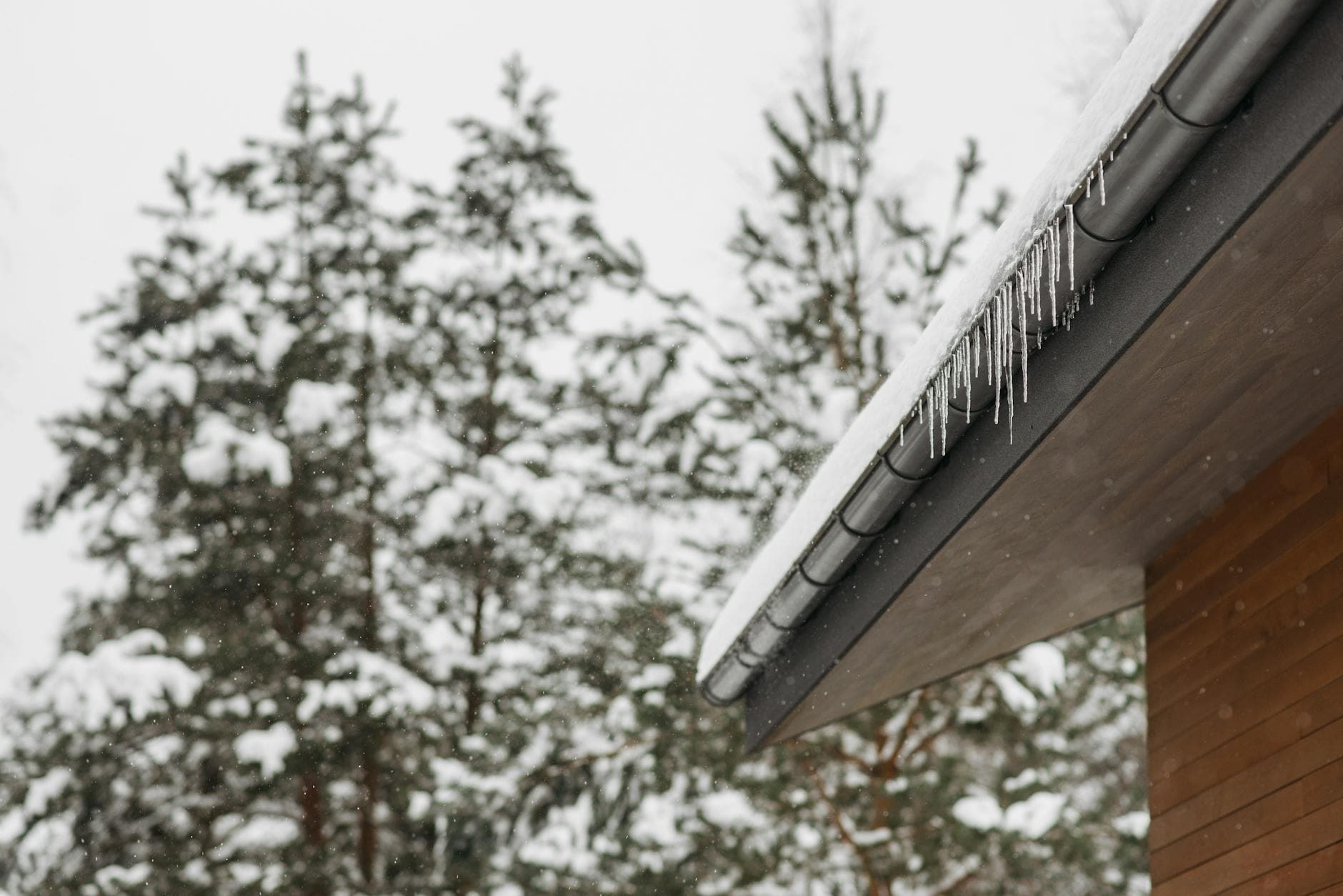 Stunning winter scene of icicles hanging from a snow-covered roof with snowy pines in the background.