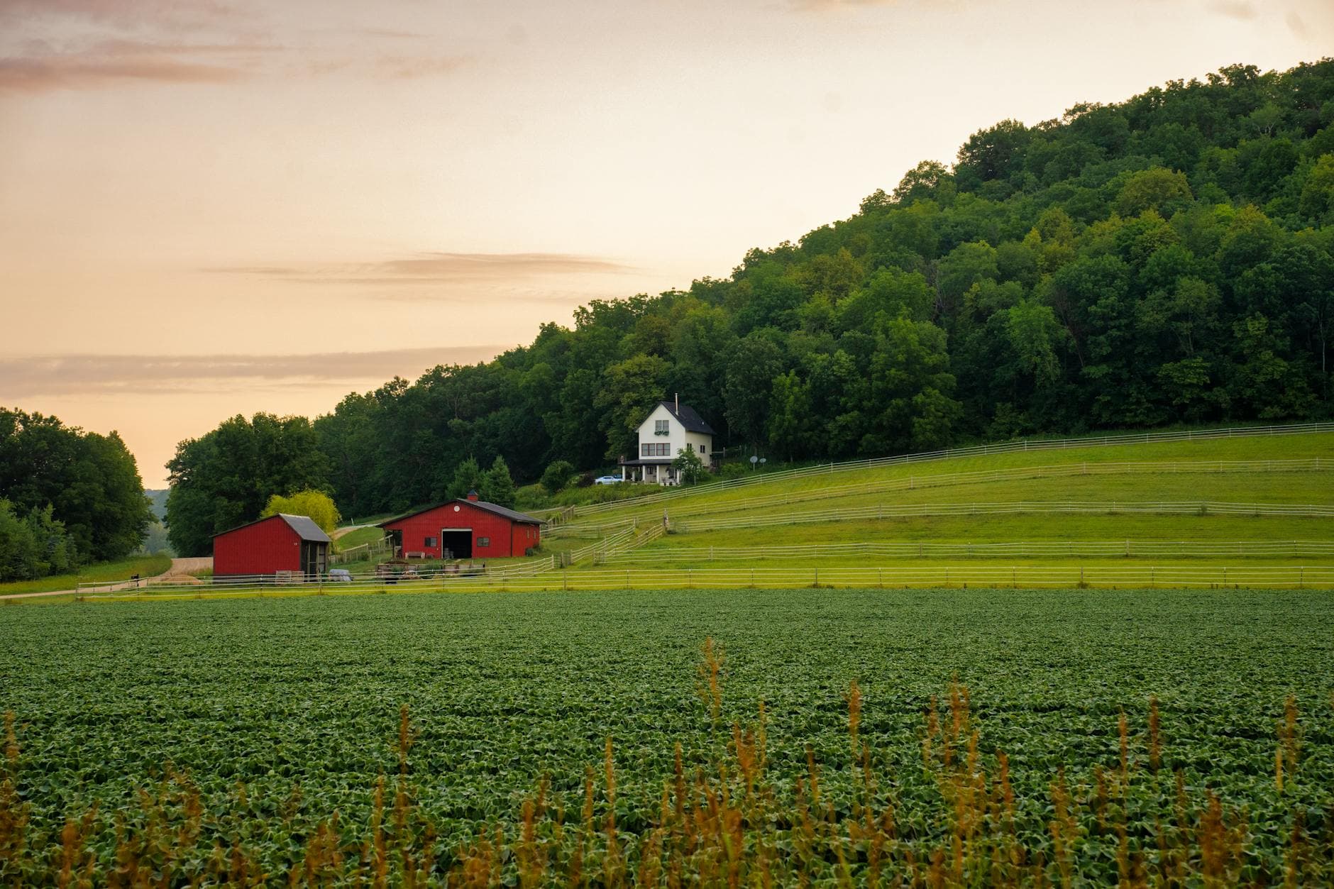 Idyllic rural landscape in Pepin, Wisconsin featuring barns, fields, and forested hills at sunset.