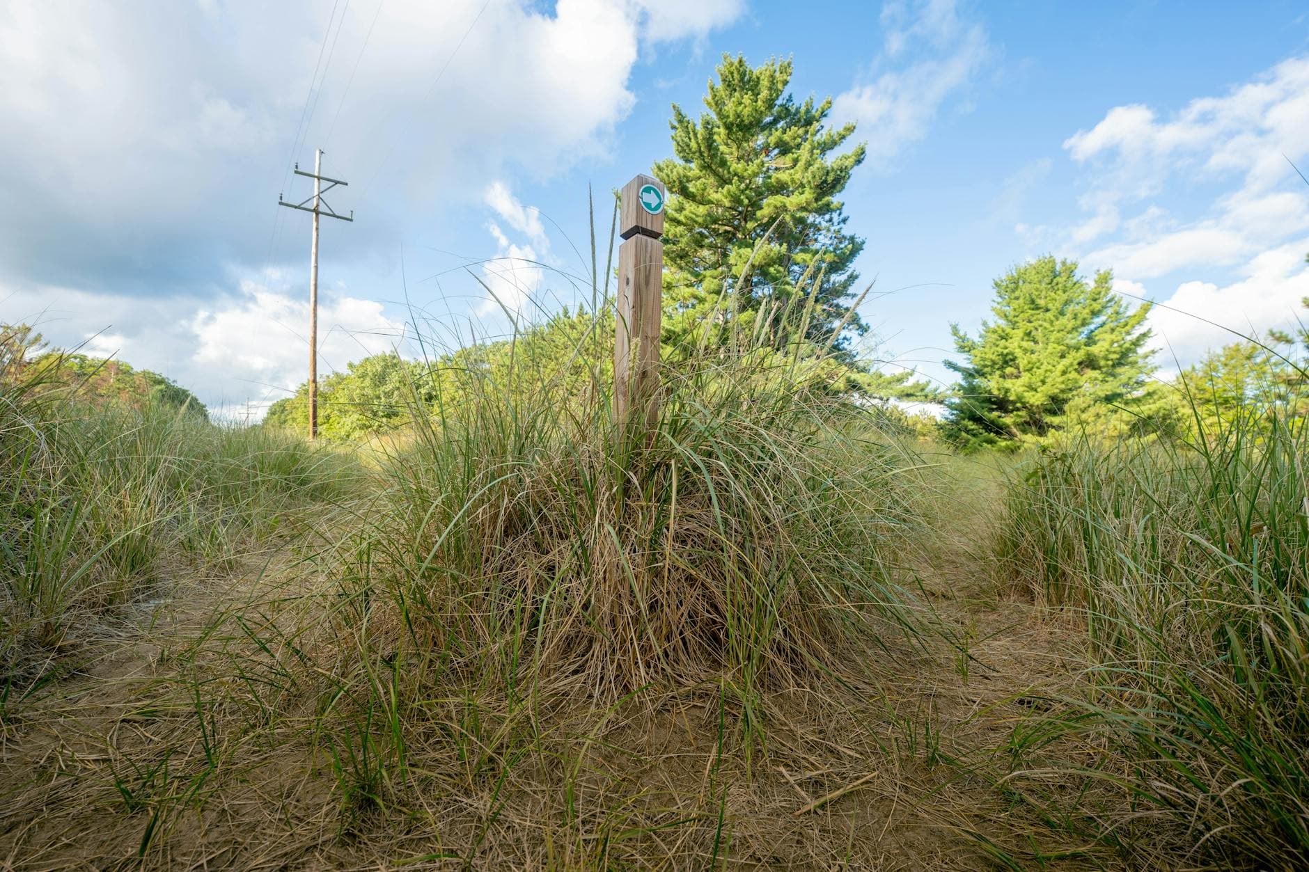 Trail marker on a sandy dune path in Holland, Michigan, USA, under a blue sky.