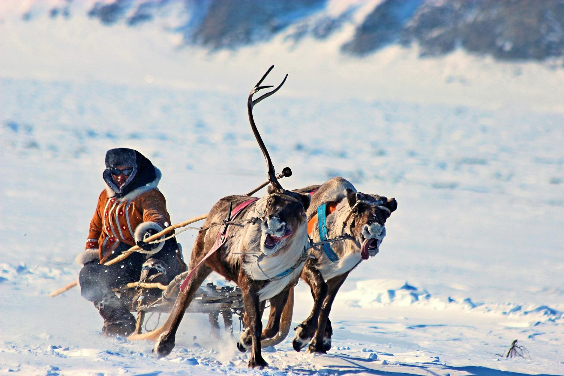 Dynamic scene of reindeer pulling a sled over snow in a frozen winter landscape.