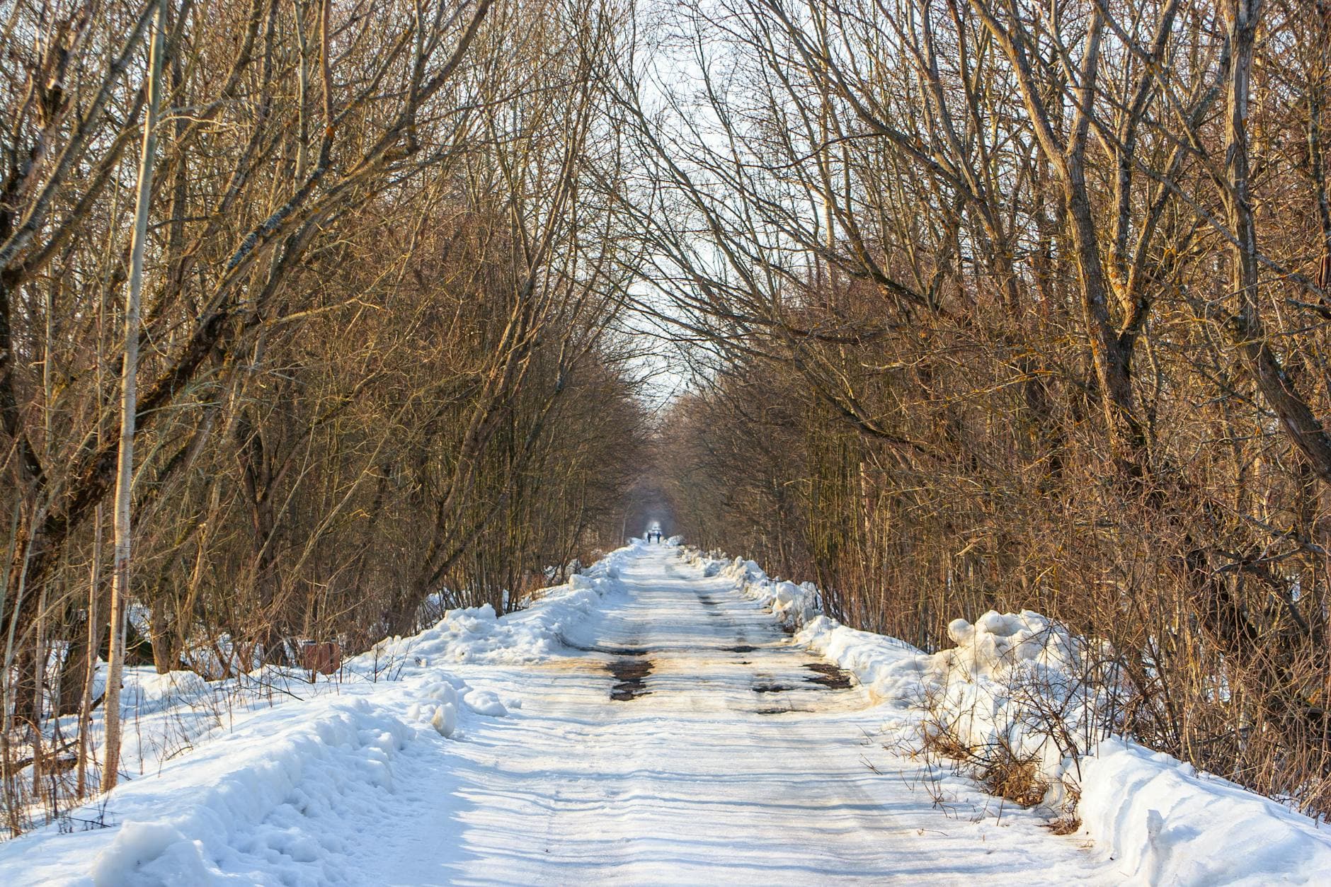 A snow-covered road through a winter forest with bare trees under a clear sky.