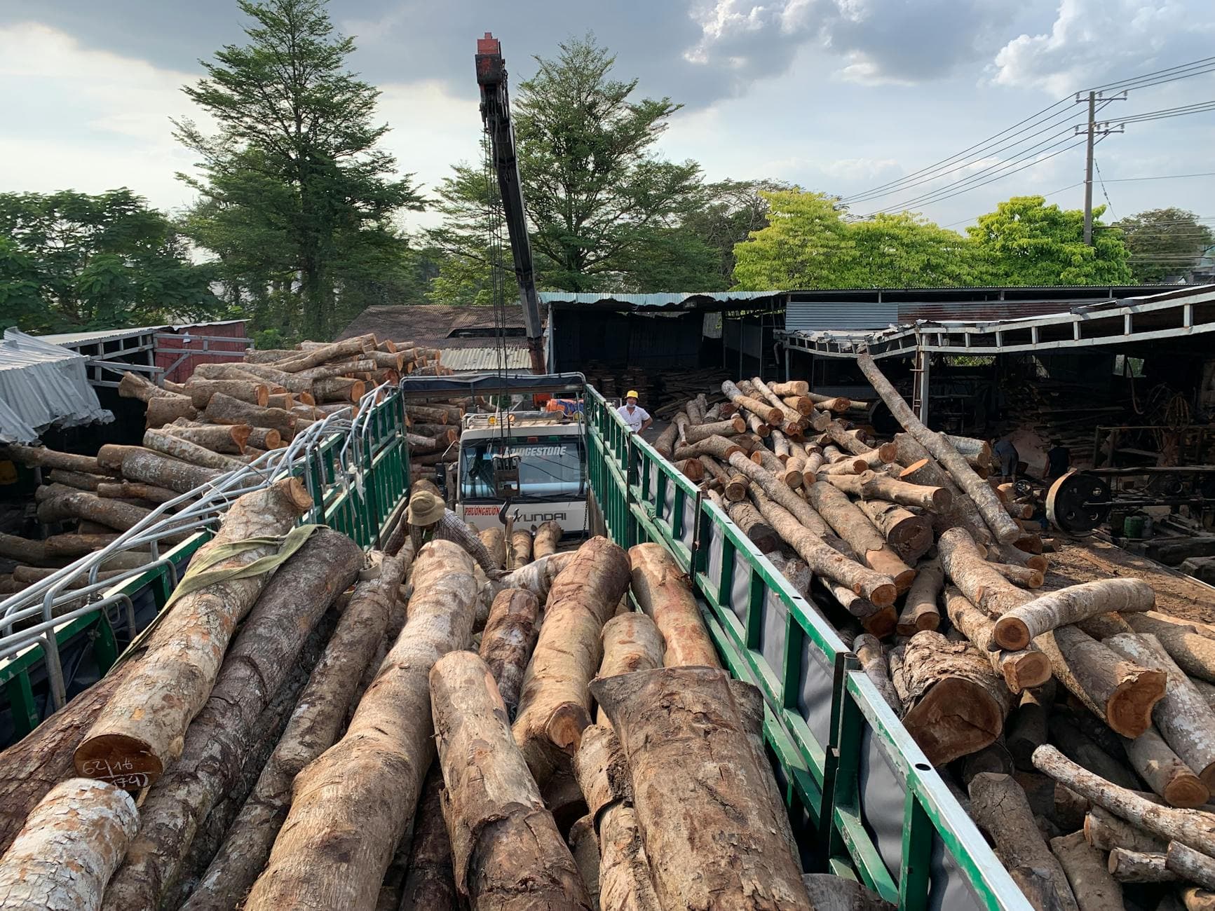 A logging yard in Vietnam with large stacks of logs being loaded onto a truck by workers.
