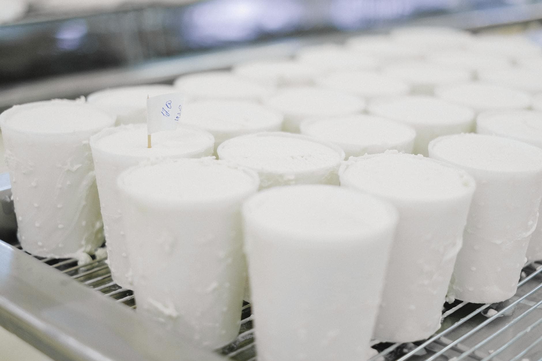 Cheese wheels curing in a dairy factory, showcasing industrial production.
