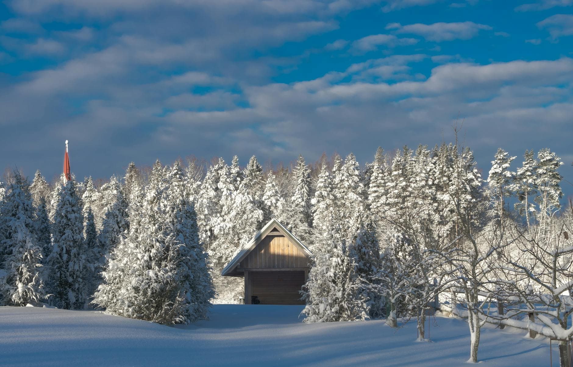 A serene winter landscape featuring a snow-covered barn surrounded by a snowy forest in Latvia.