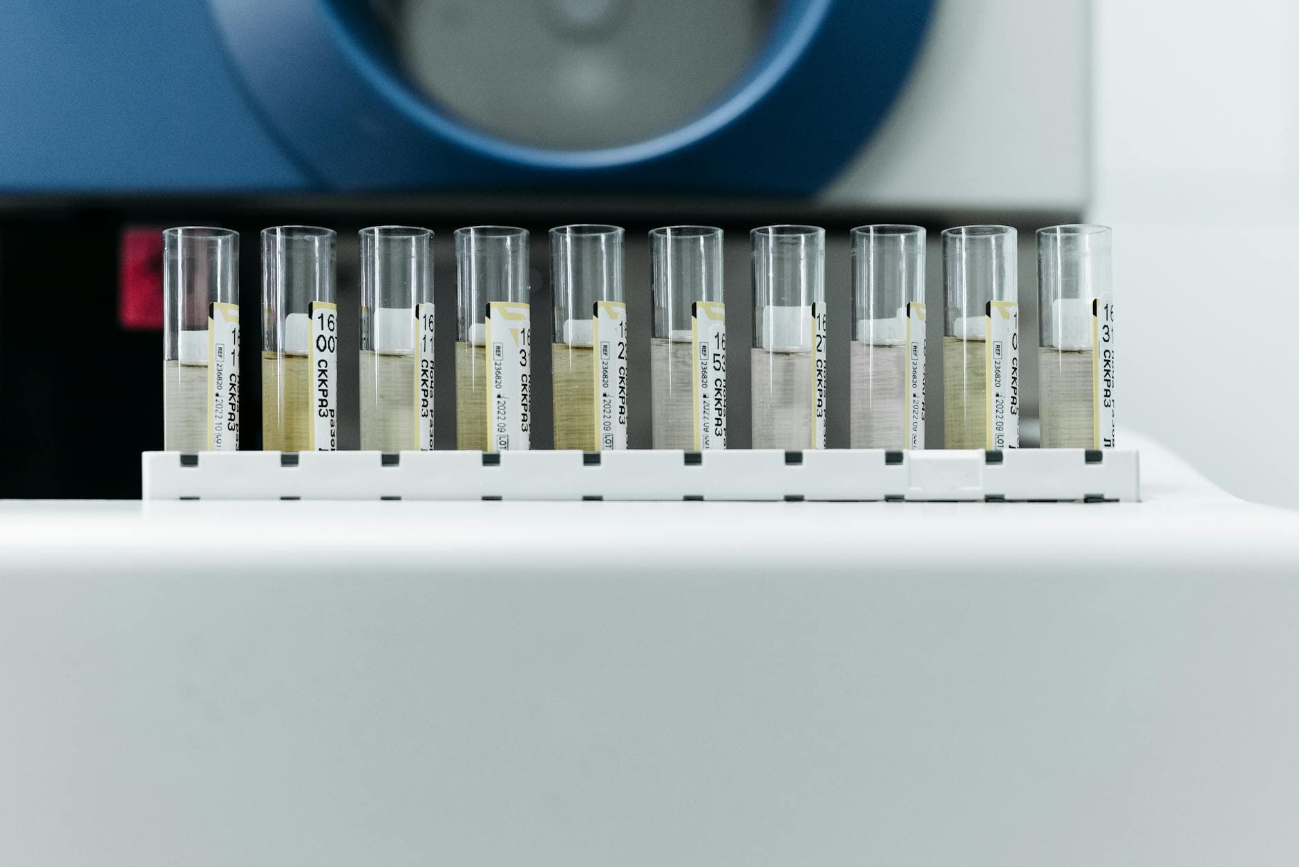 Row of labeled test tubes on a rack in a modern laboratory environment.