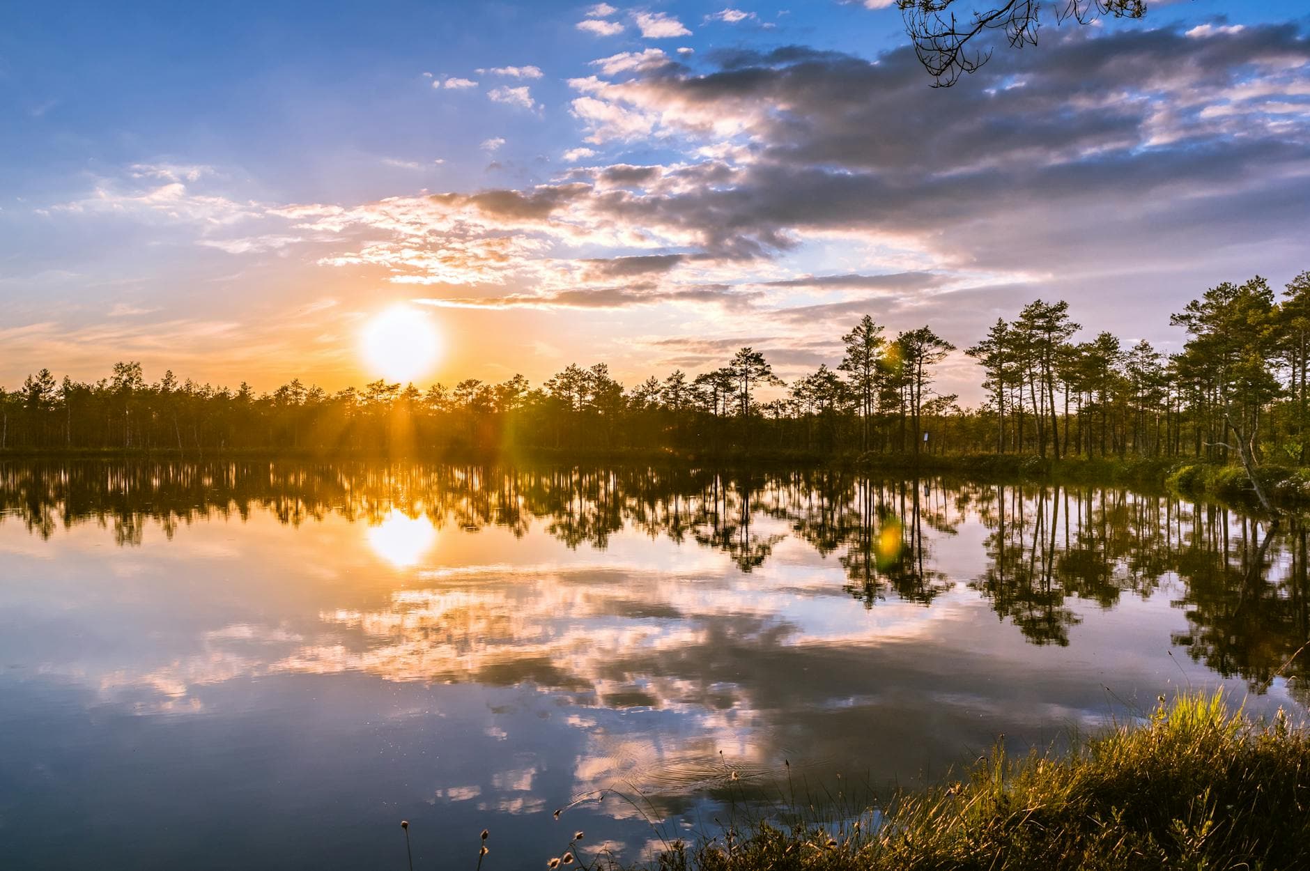 A peaceful sunset over a calm lake with mirrored reflections of trees, creating a serene landscape.