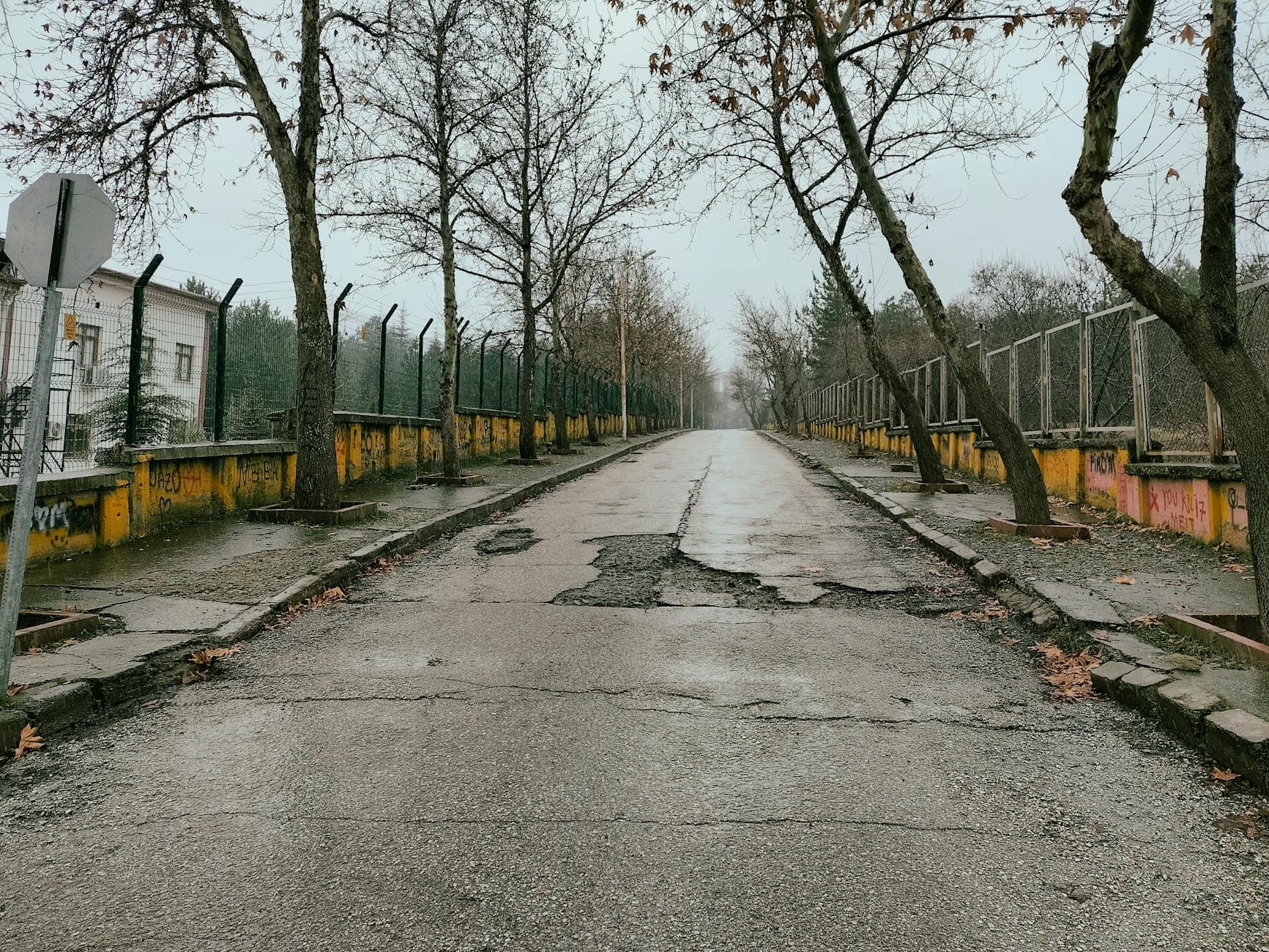 Deteriorated asphalt road in Elazığ, Türkiye, surrounded by winter trees and fencing.