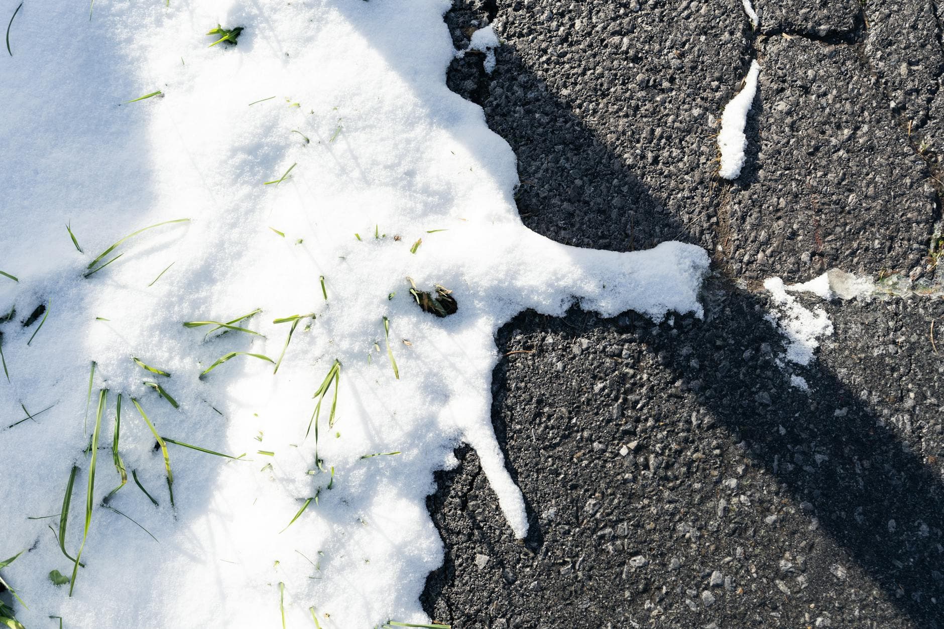 Close-up of melting snow on asphalt with grass in Sankt Anton am Arlberg.