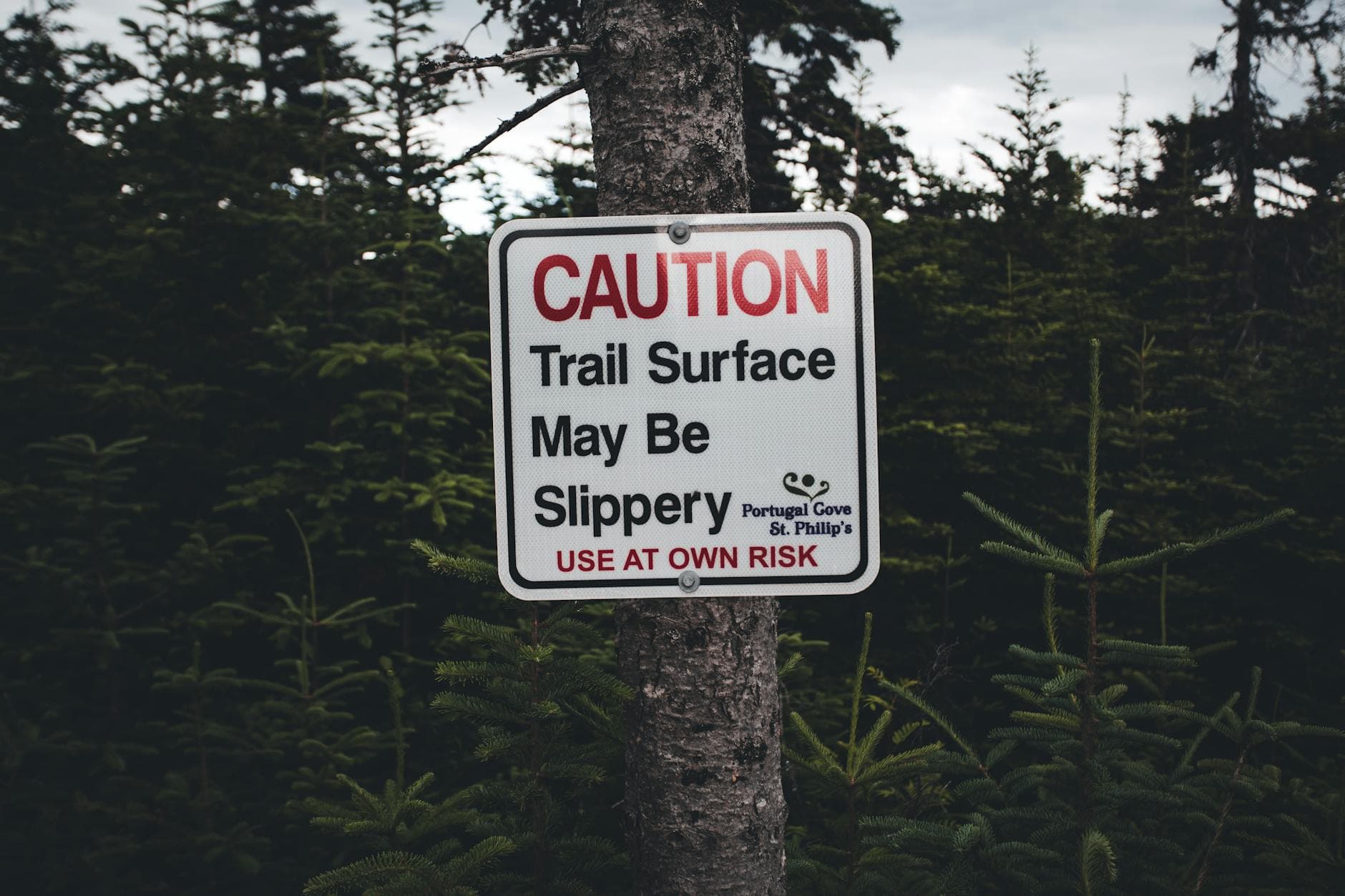 Caution sign warning of slippery trail surface in a dense forest area. Adventure awaits.