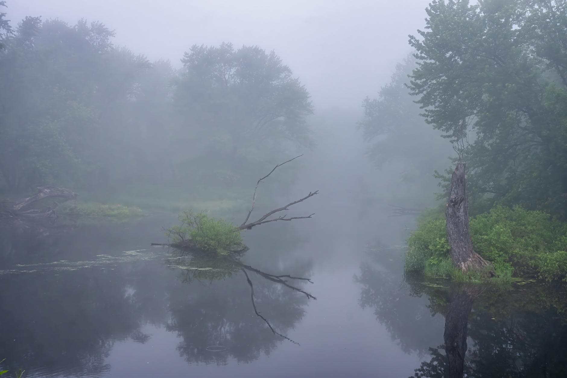 Misty morning view of a peaceful lake surrounded by dense trees and fog in Nelson, WI.