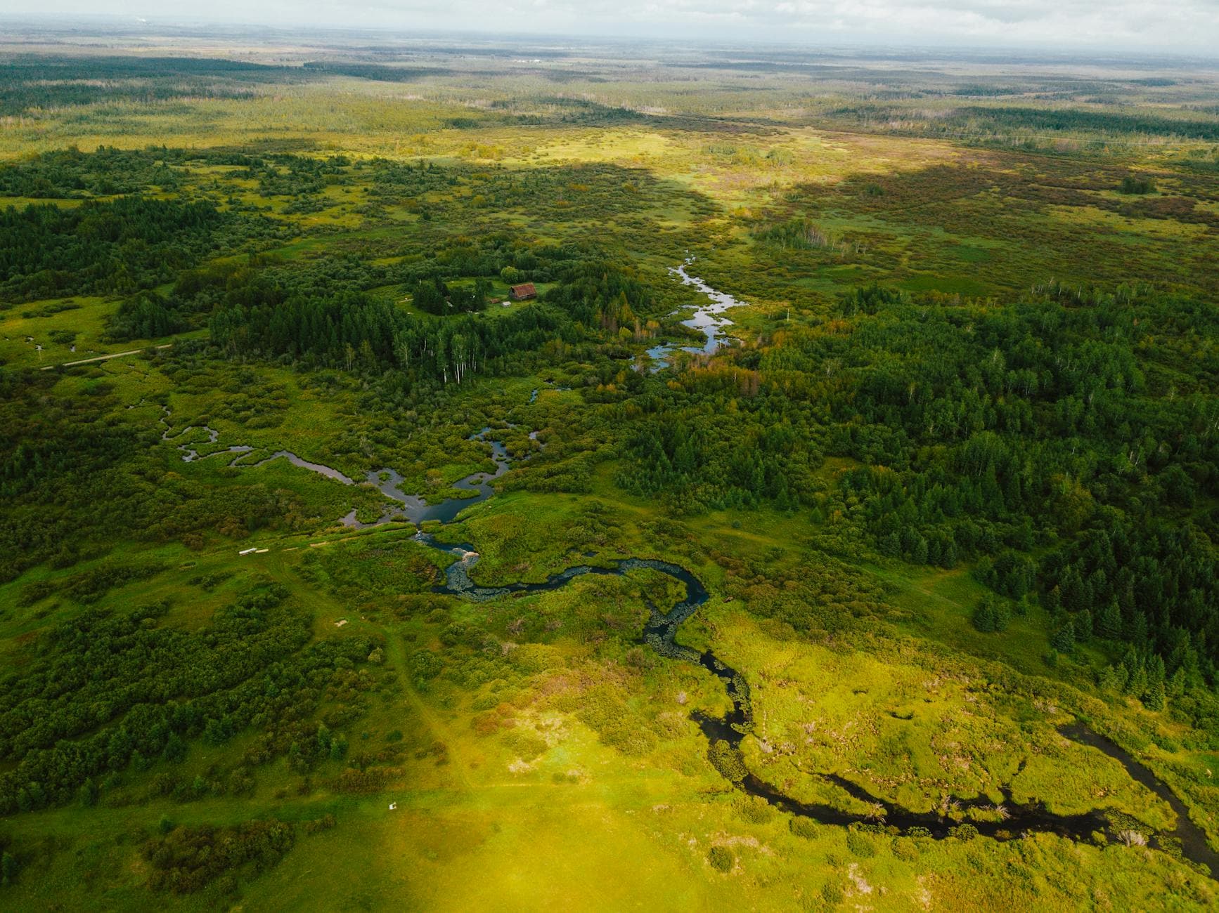 Breathtaking aerial view of lush fields and winding river in Minnesota's summer landscape.