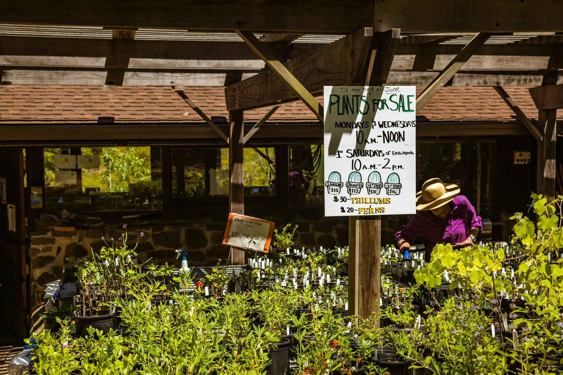 A vibrant garden center with plants for sale and a person tending to greenery.