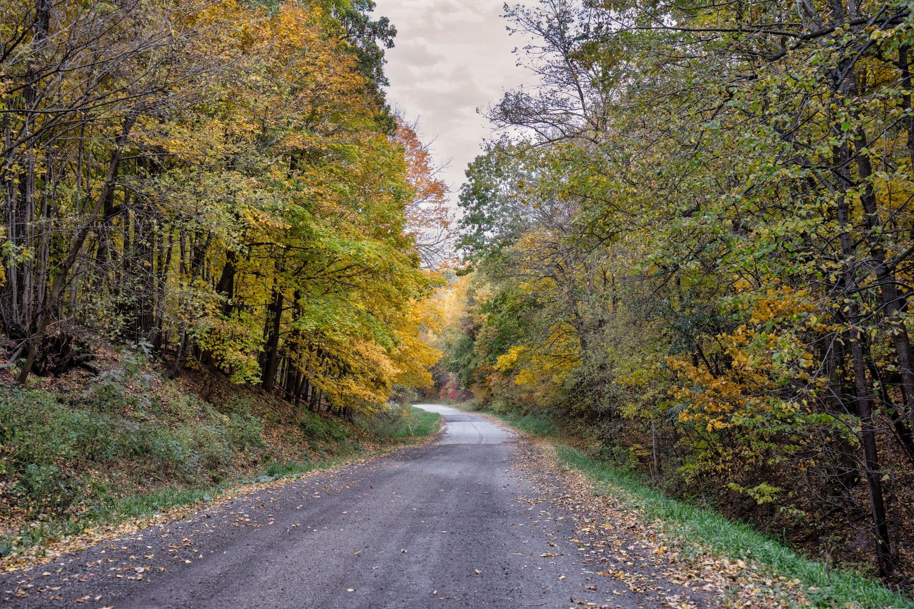 A serene country road surrounded by vibrant fall foliage in Nelson, Wisconsin.