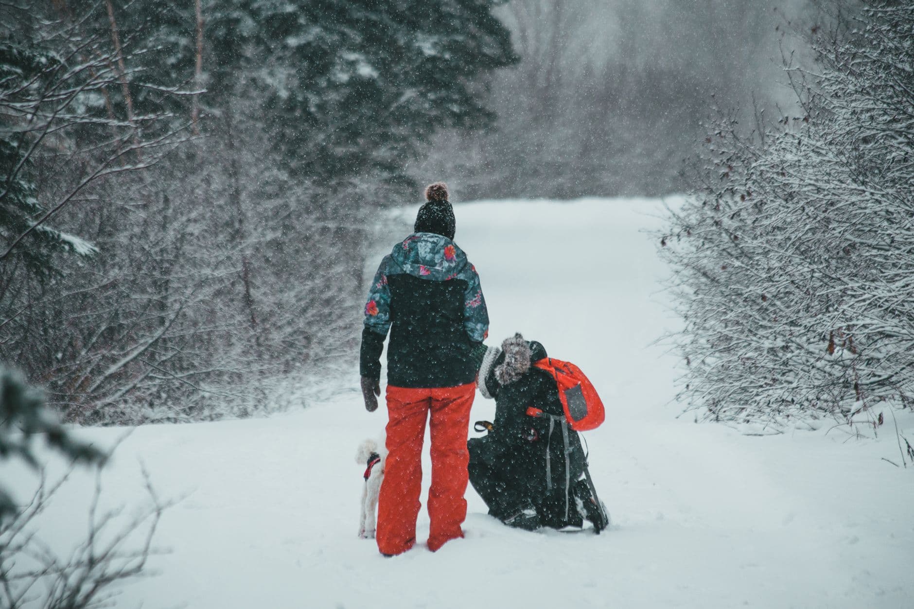Unrecognizable people in warm outerwear standing on snowy road while walking in forest in winter time in daylight