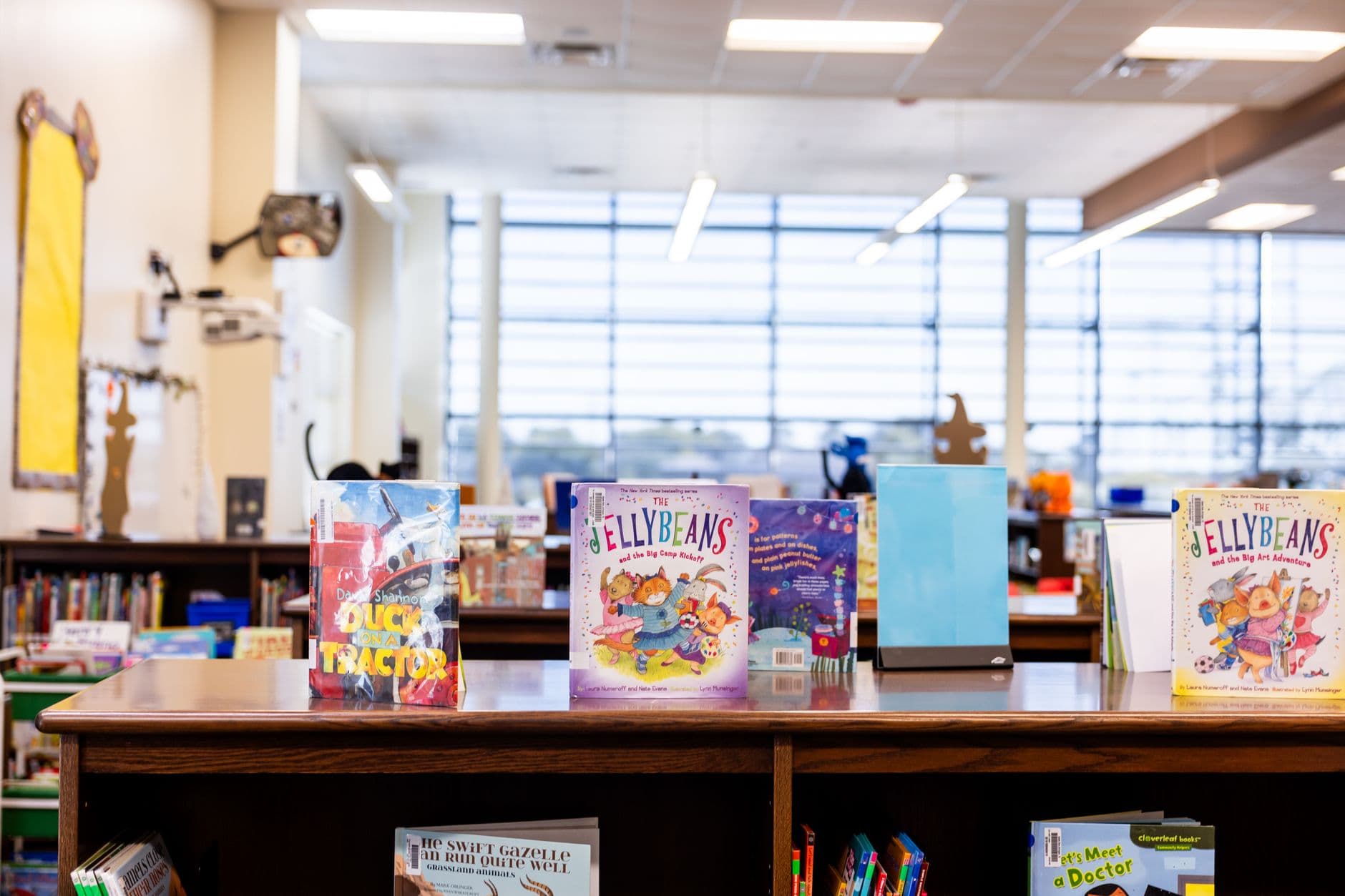 Vibrant children's books displayed in a well-lit library setting, ideal for educational themes.