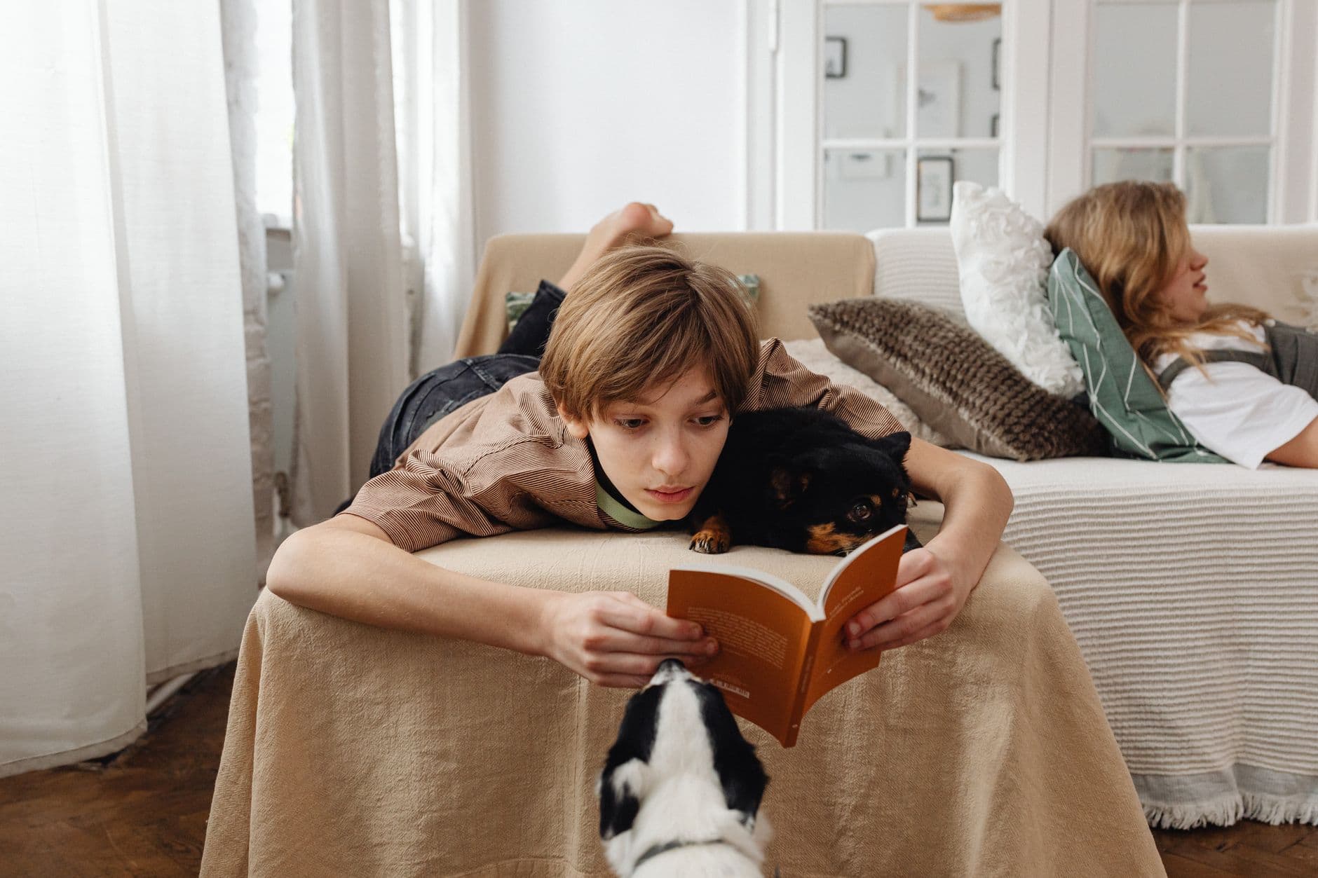 A teenager reading a book on a couch with two dogs nearby, creating a cozy indoor scene.