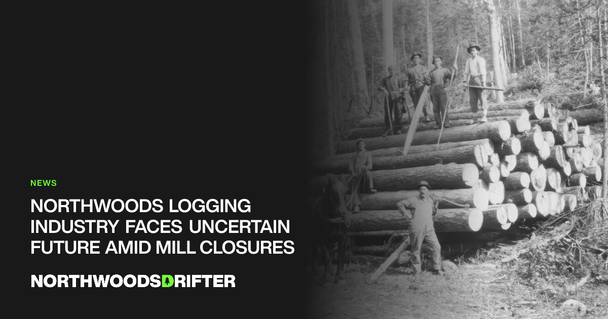 Northwoods Logging Industry Faces Uncertain Future Amid Mill Closures ...