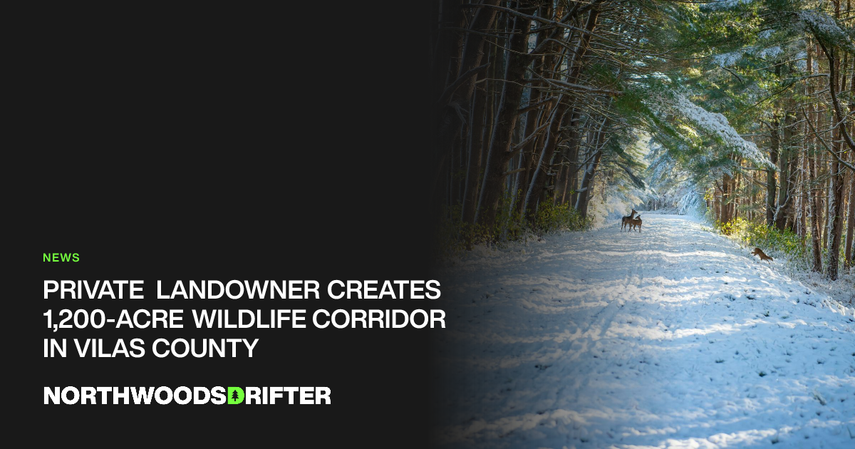Private Landowner Creates 1,200-Acre Wildlife Corridor in Vilas County ...